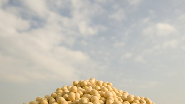Perdue backs technology designed to boost oil and protein content of soybeans without risking yield
