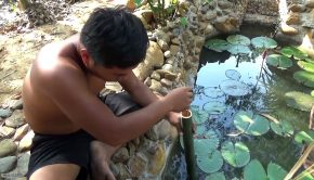 Primitive Life:Filter System for Fish Pond!