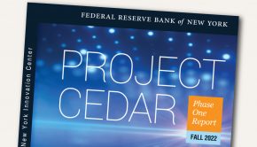 Project Cedar: Improving Cross-Border Payments With Blockchain Technology