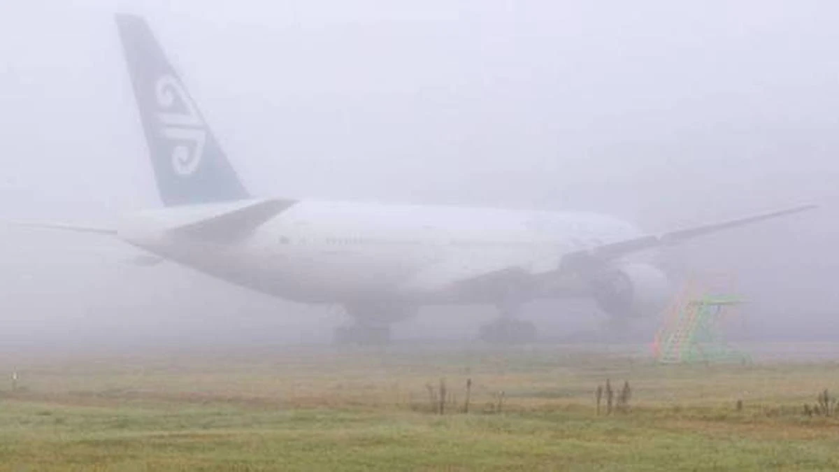 Pyper Vision's airport fog-busting technology wins Govt backing