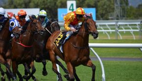 Recently listed Australian racing and wagering data supplier RAS Technology sees revenue soar
