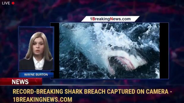 Record-breaking shark breach captured on camera - 1BreakingNews.com