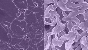 Scientists Develop Stable Sodium Battery Technology