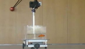 Scientists Train Goldfish to Drive a Wheeled Fish Tank