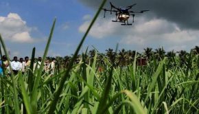 Scientists demonstrate drone technology for agriculture in East Godavari