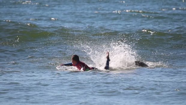 Seagull Attacks Surfer in Ocean