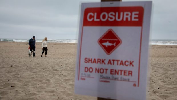Shark Attack Kills Surfer In Australia