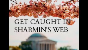 Sharmins Web - Taming The Tida, October 18, 2018