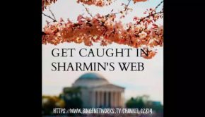Sharmins Web - Taming The Tida, October 25, 2018