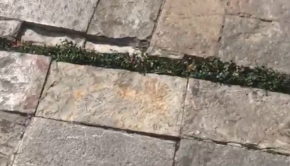Sidewalk cracks expand and contract from earthquake