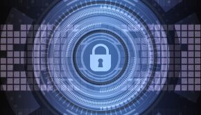 Small Businesses Look to CSPs for Cybersecurity, Allot Finds Placeholder Image