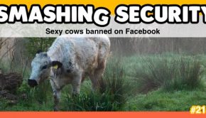 Smashing Security podcast #215: Sexy cows banned on Facebook - Graham Cluley Security News