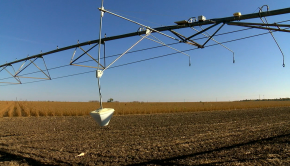 Some Nebraskan farmers are using technology to manage their pivot irrigation systems - NTV