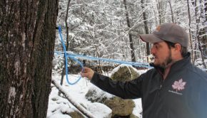Technology helps the maple industry cope with climate change