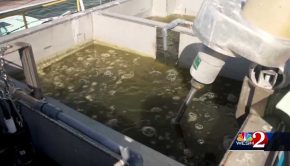 Technology turns algae, bio-solids into sustainable fuel at Altamonte Springs Wastewater