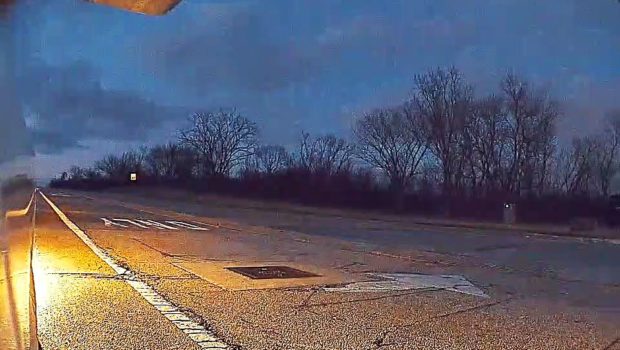 Tesla Side Camera Captures Deer Clipped by Car
