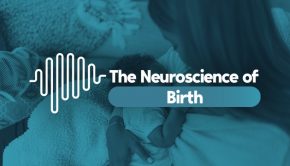 The Neuroscience of... Birth | Technology Networks