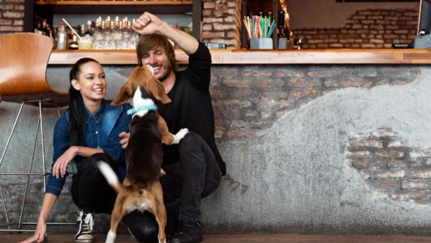 This Course Teaches Dogs How to Behave in Breweries