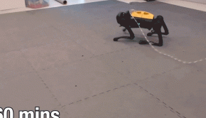 This robot dog just taught itself to walk