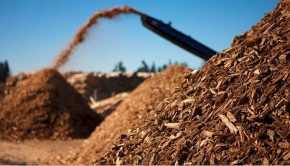 Tomra matches its technology with wood recycling demand