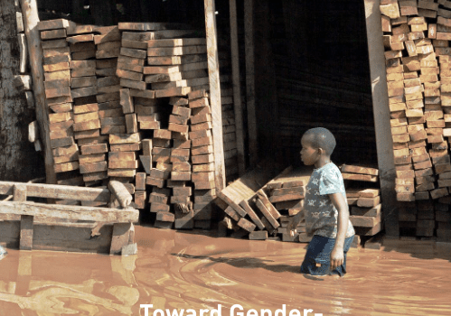 Toward Gender-responsive and Technology-oriented Disaster Management in Eastern Africa - World