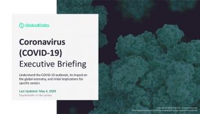 Covid-19 executive briefing report cover