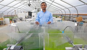 UToledo receives $3.2m to advance algae biofuel technology
