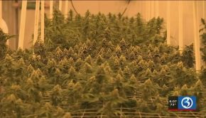 VIDEO: Tracking technology helps ensure marijuana stays out of the wrong hands - WFSB