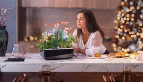 Véritable Smart Indoor Garden uses LED technology to automatically adjust its light » Gadget Flow
