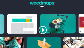 WM Technology, Inc. Launches Weedmaps For Business, A Complete SaaS Platform