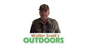 Walter Scott: New bow technology is not all hype