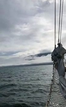 Whale Breach Caught Up Close