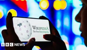 Wikipedia needs different safety rules, says foundation - BBC