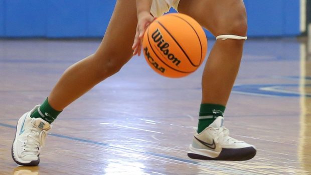 Wilson posts triple-double to lead Irvington past Technology - Girls basketball recap