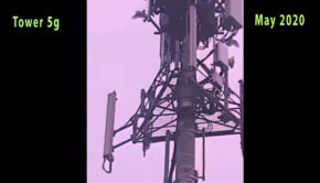 never seen before - birds attack tower 5g